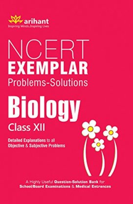 NCERT Solutions