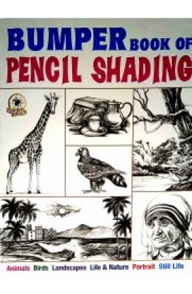 Colouring And Activity