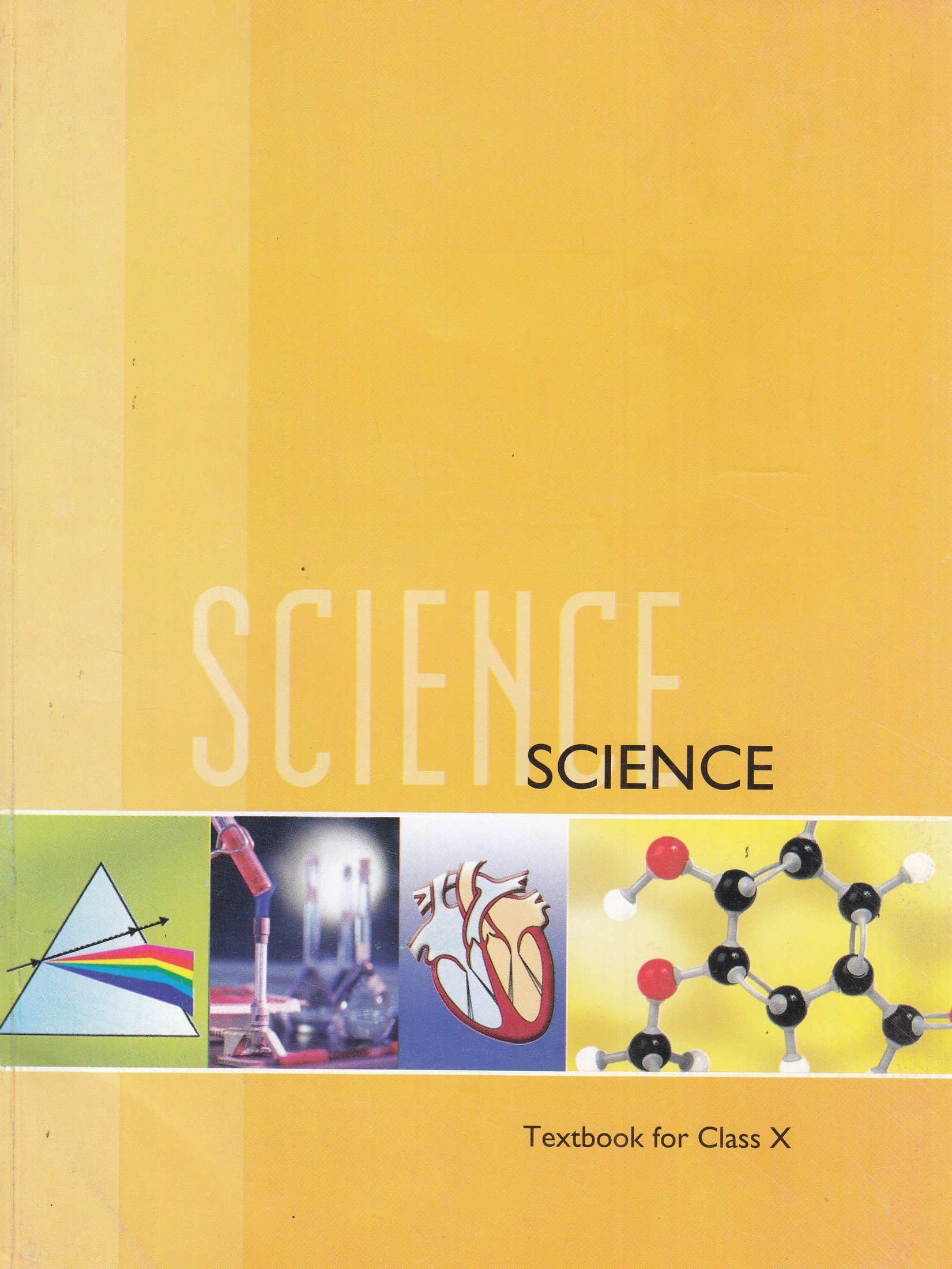 Routemybook  Buy 10th CBSE Science Textbook by NCERT Editorial Board